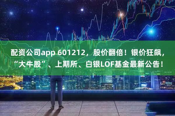 配资公司app 601212，股价翻倍！银价狂飙，“大牛股”、上期所、白银LOF基金最新公告！